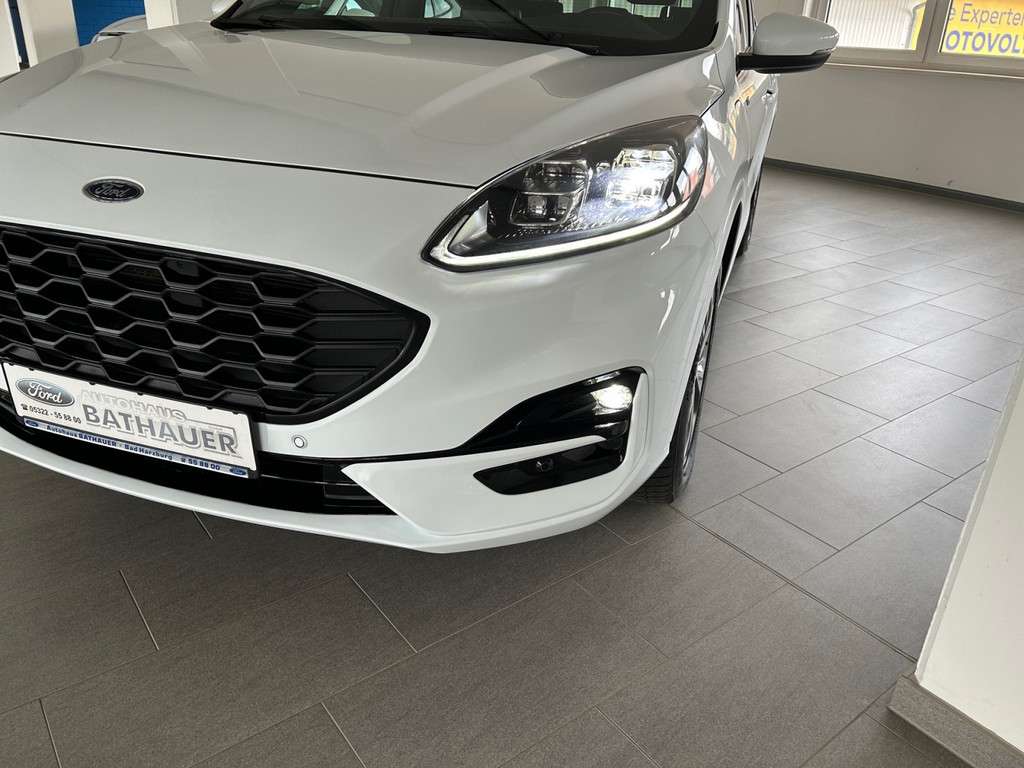 Fahrzeugbild eines Ford Kuga