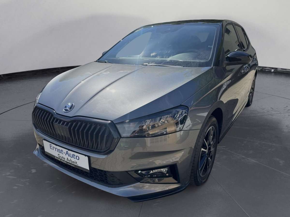 Fahrzeugbild eines Skoda Fabia