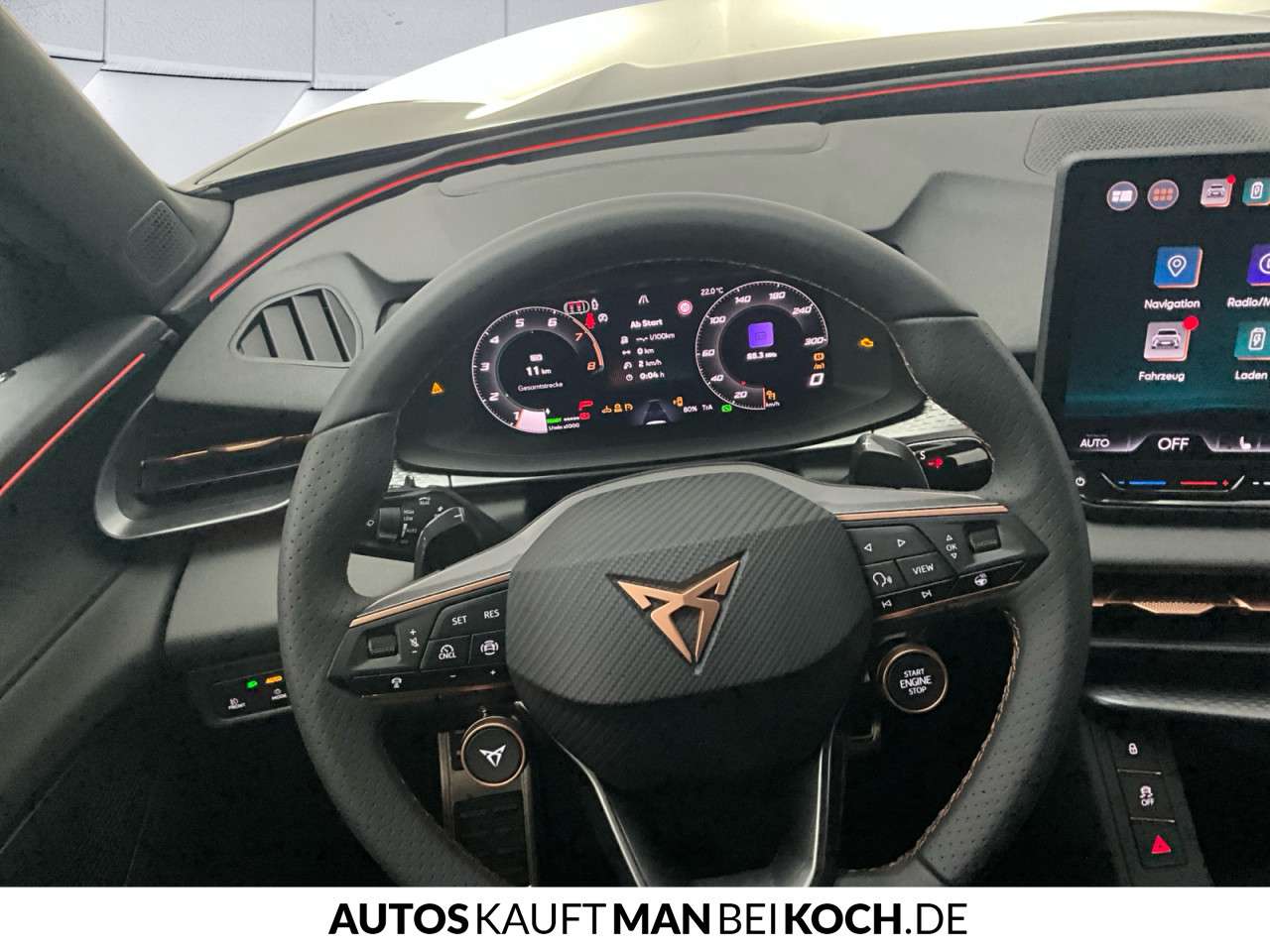 Fahrzeugbild eines CUPRA Terramar
