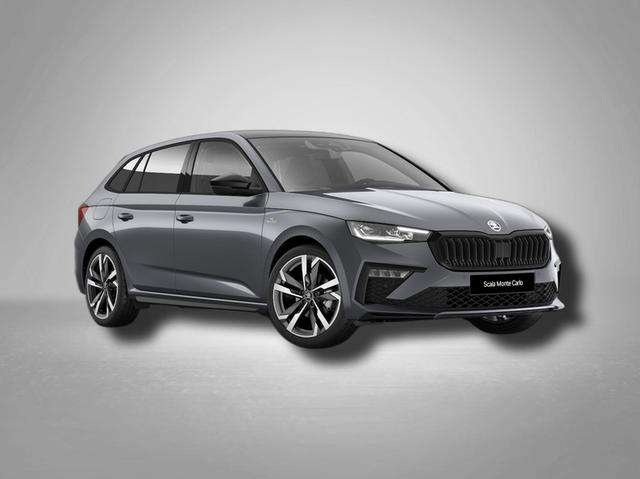 Fahrzeugbild eines Skoda Scala