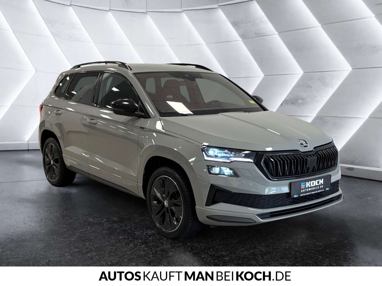 Fahrzeugbild eines Skoda Karoq