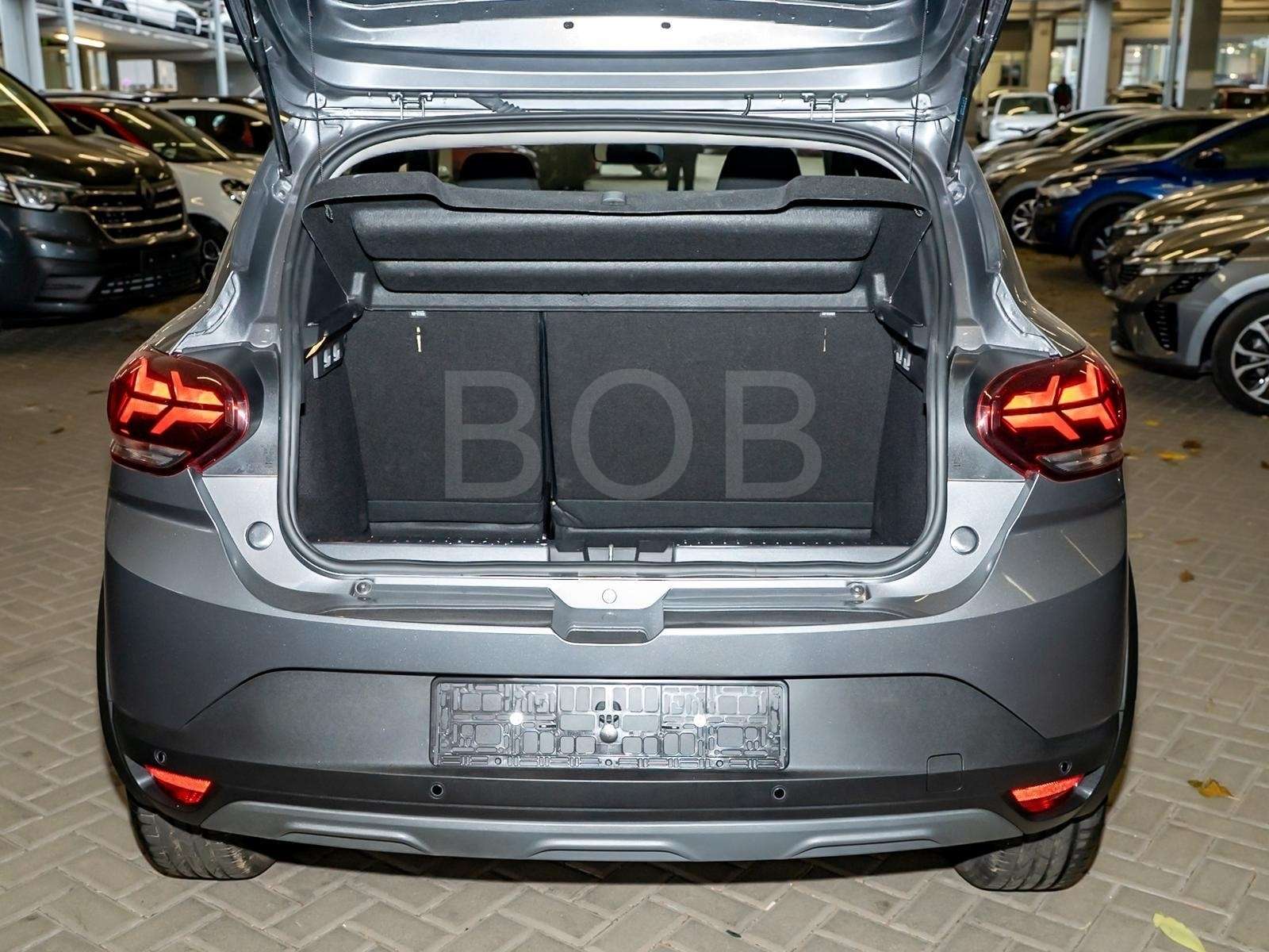 Fahrzeugbild eines Dacia Sandero