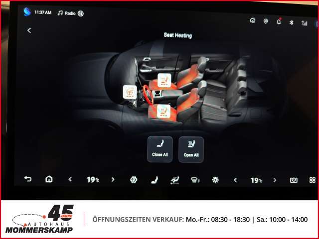 Fahrzeugbild eines BYD Atto 2