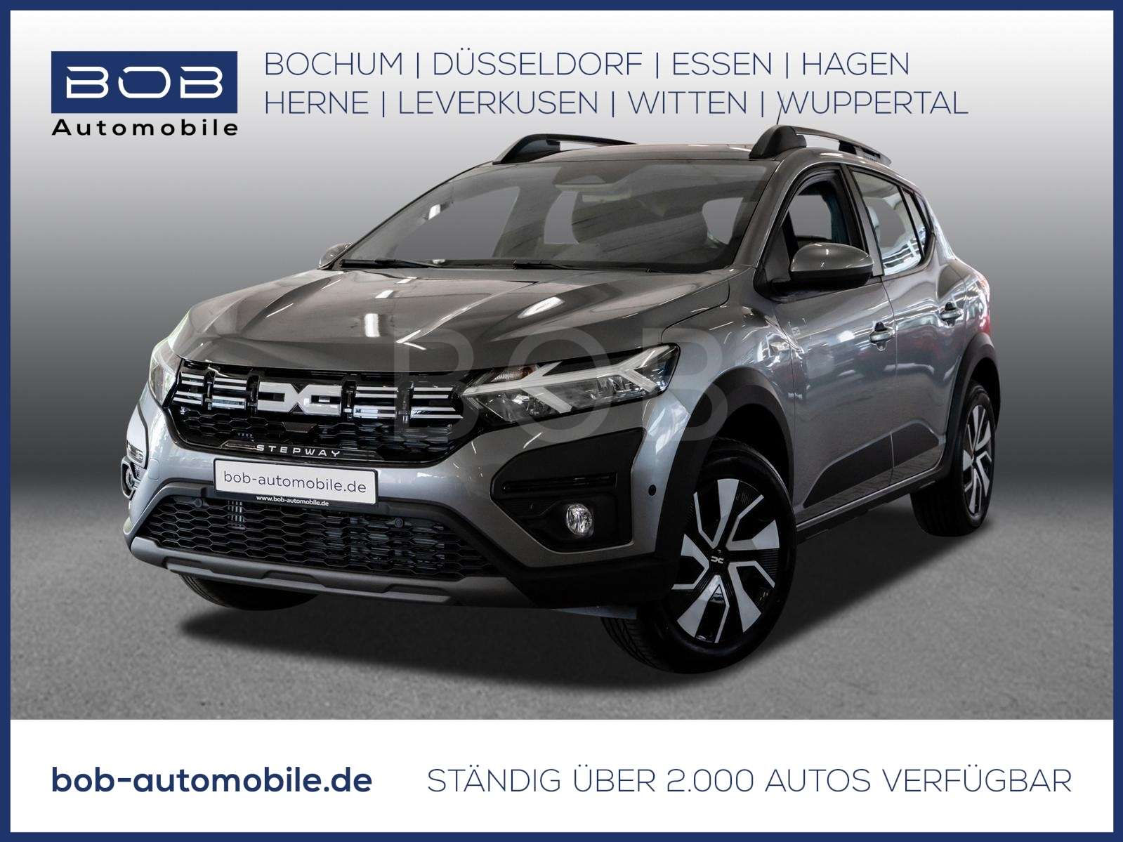 Fahrzeugbild eines Dacia Sandero