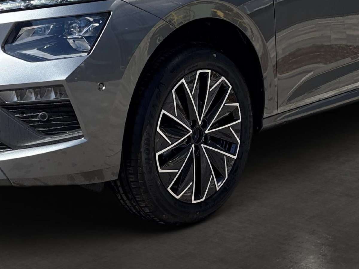 Fahrzeugbild eines Skoda Kamiq