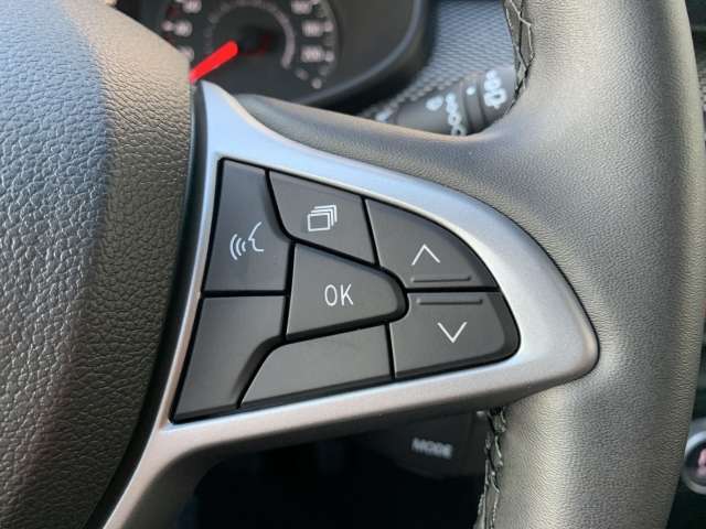 Fahrzeugbild eines Dacia Sandero