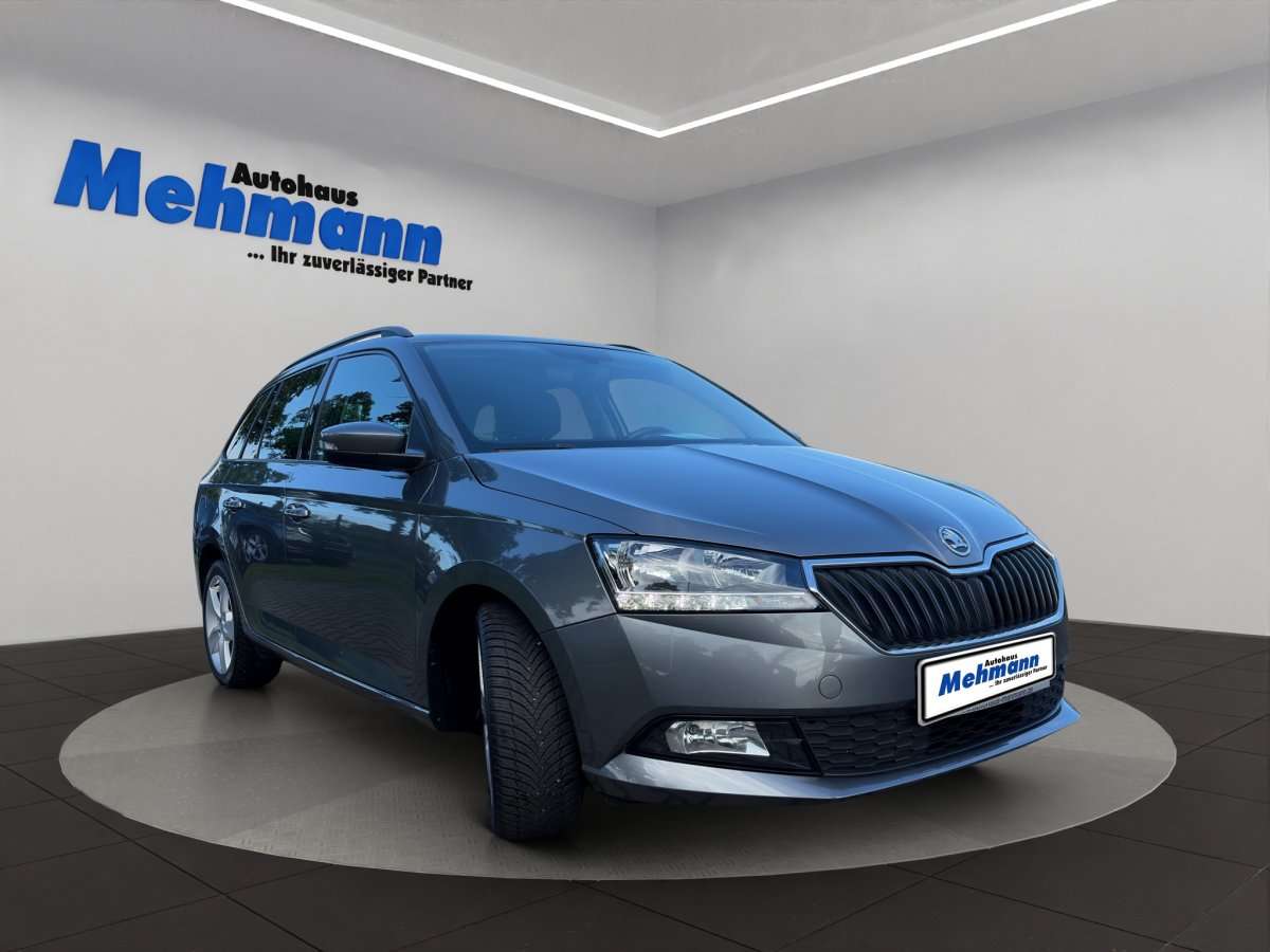 Fahrzeugbild eines Skoda Fabia