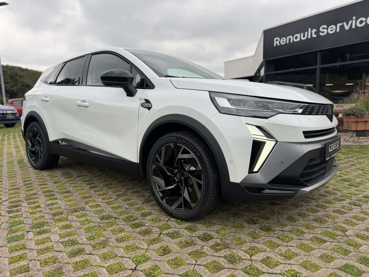 Fahrzeugbild eines Renault Symbioz