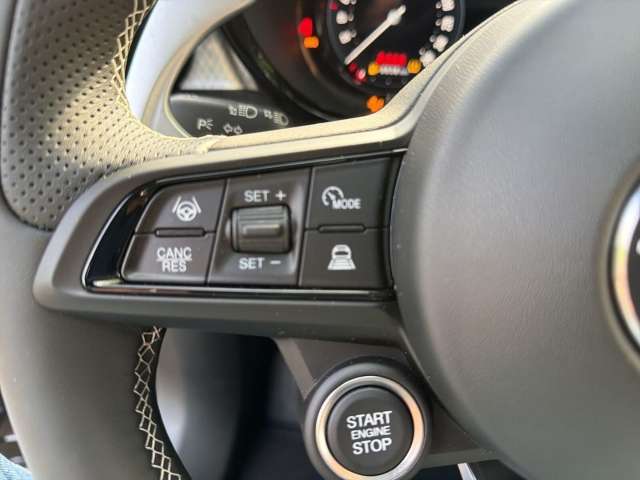 Fahrzeugbild eines Alfa Romeo Tonale