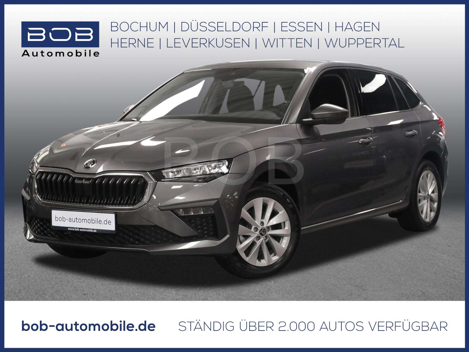 Fahrzeugbild eines Skoda Scala