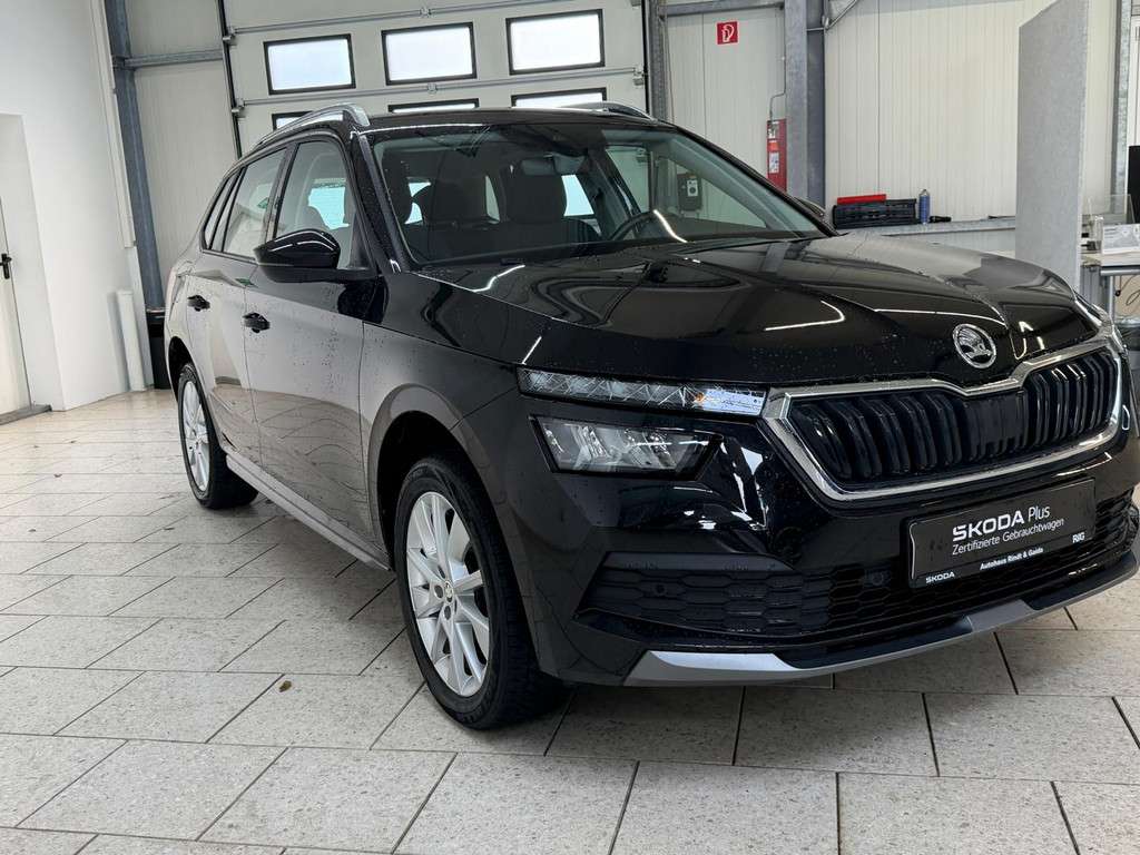 Fahrzeugbild eines Skoda Kamiq