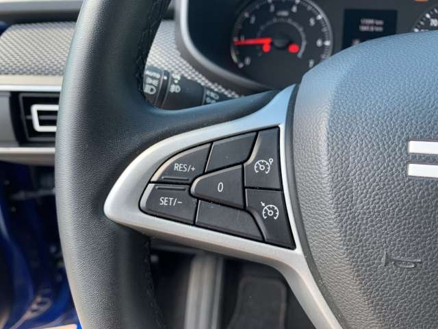 Fahrzeugbild eines Dacia Sandero