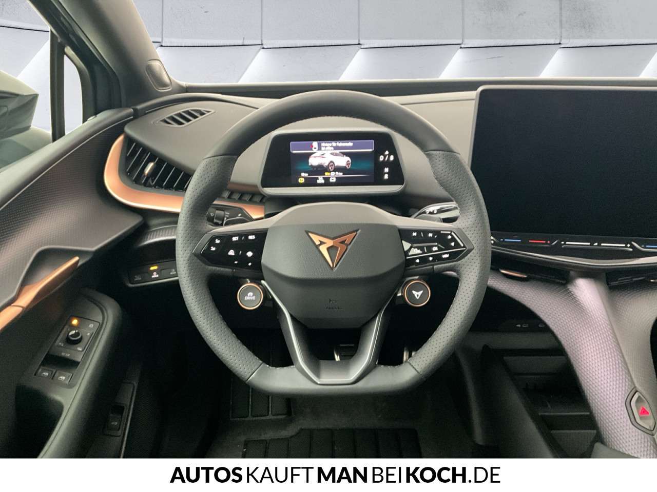 Fahrzeugbild eines CUPRA Tavascan