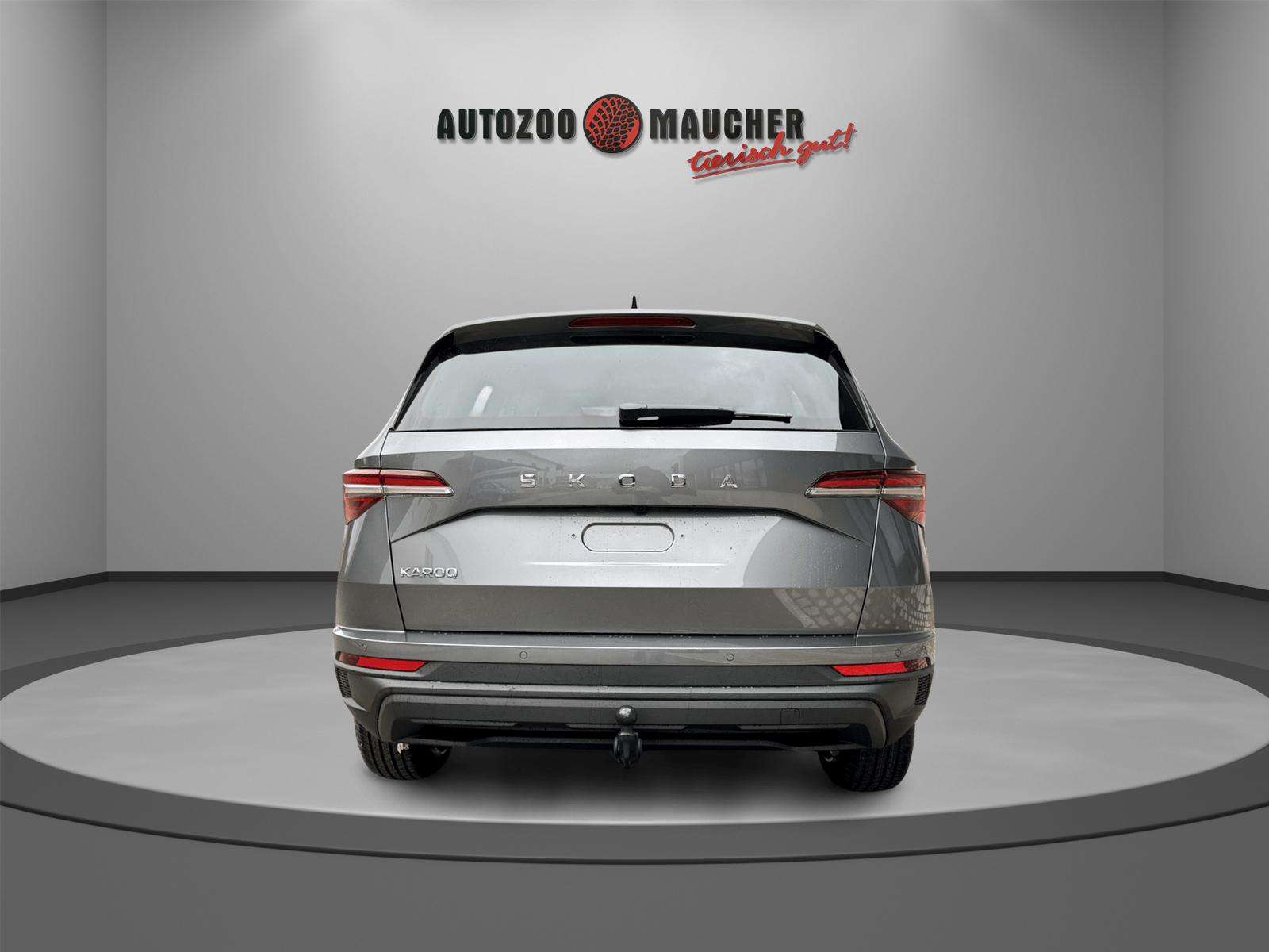 Fahrzeugbild eines Skoda Karoq