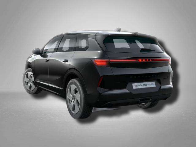 Fahrzeugbild eines Opel Grandland X