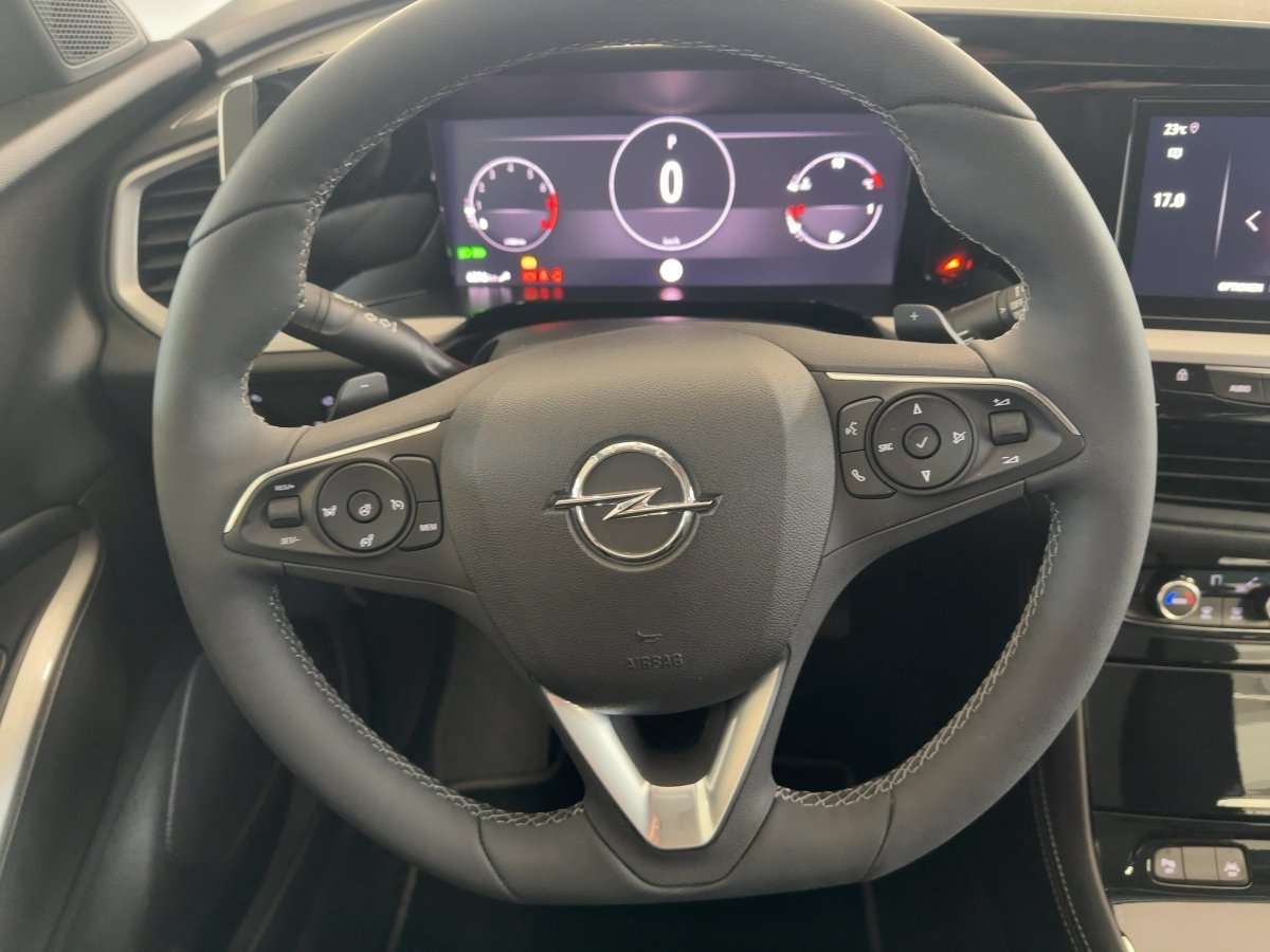 Fahrzeugbild eines Opel Grandland X