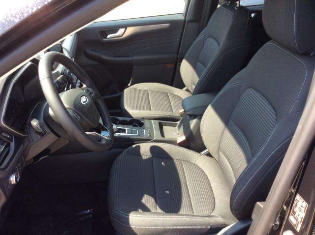 Fahrzeugbild eines Ford Kuga