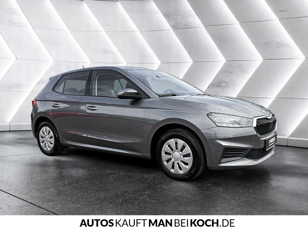 Fahrzeugbild eines Skoda Fabia