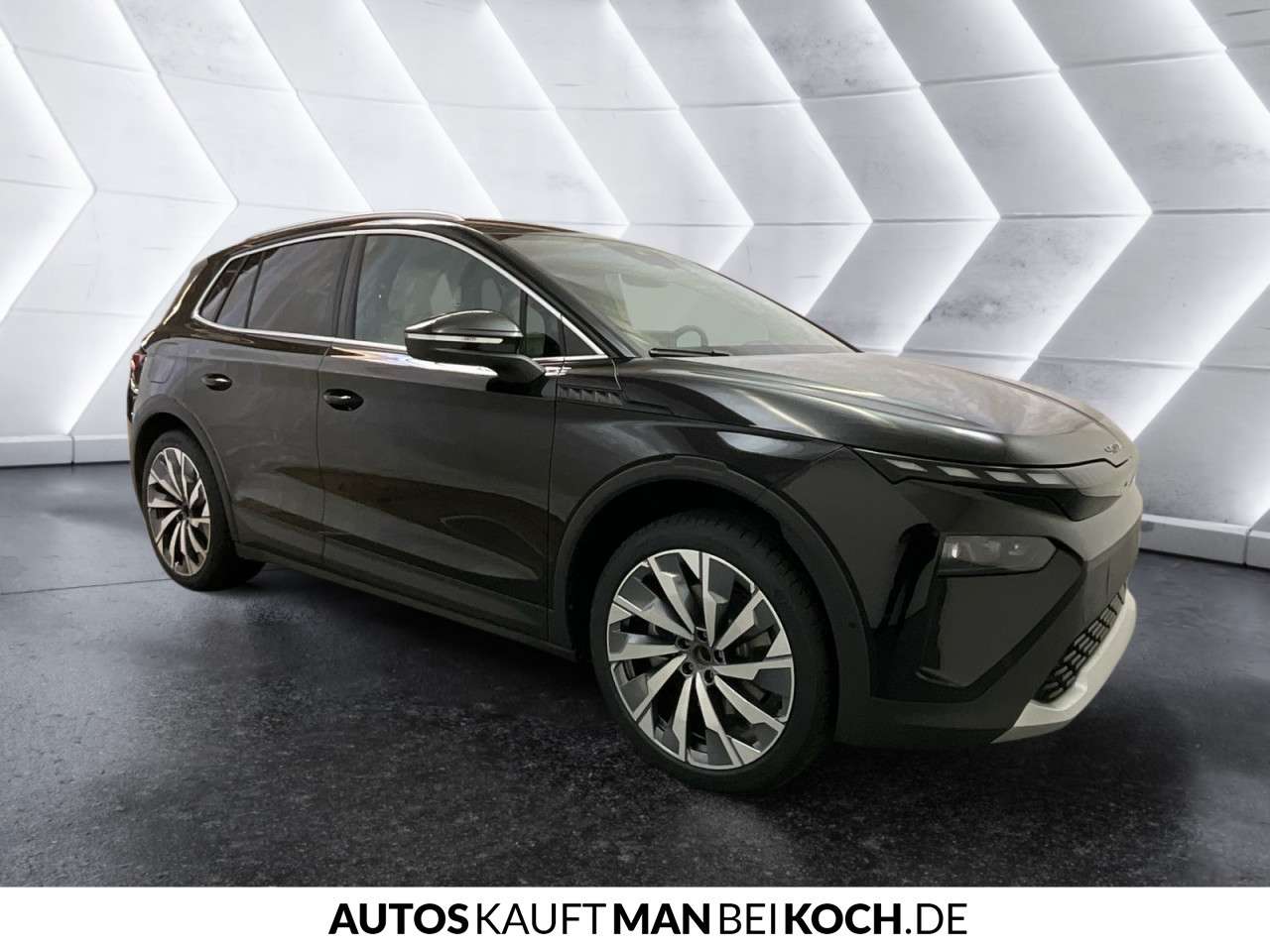 Fahrzeugbild eines Skoda ELROQ