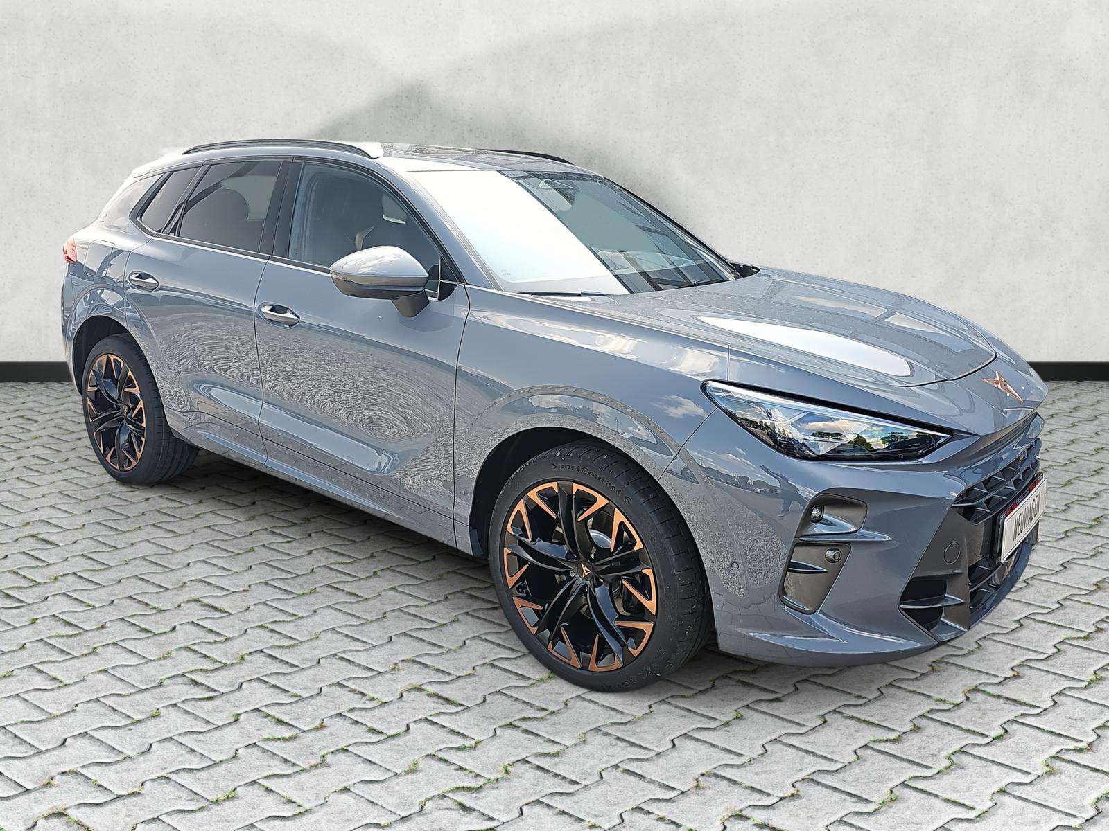 Fahrzeugbild eines CUPRA Terramar