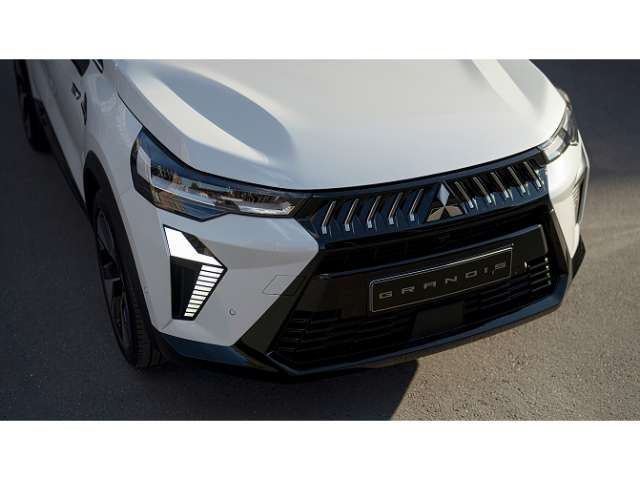 Fahrzeugbild eines Mitsubishi Grandis