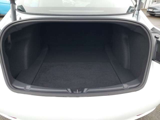 Fahrzeugbild eines TESLA Model 3