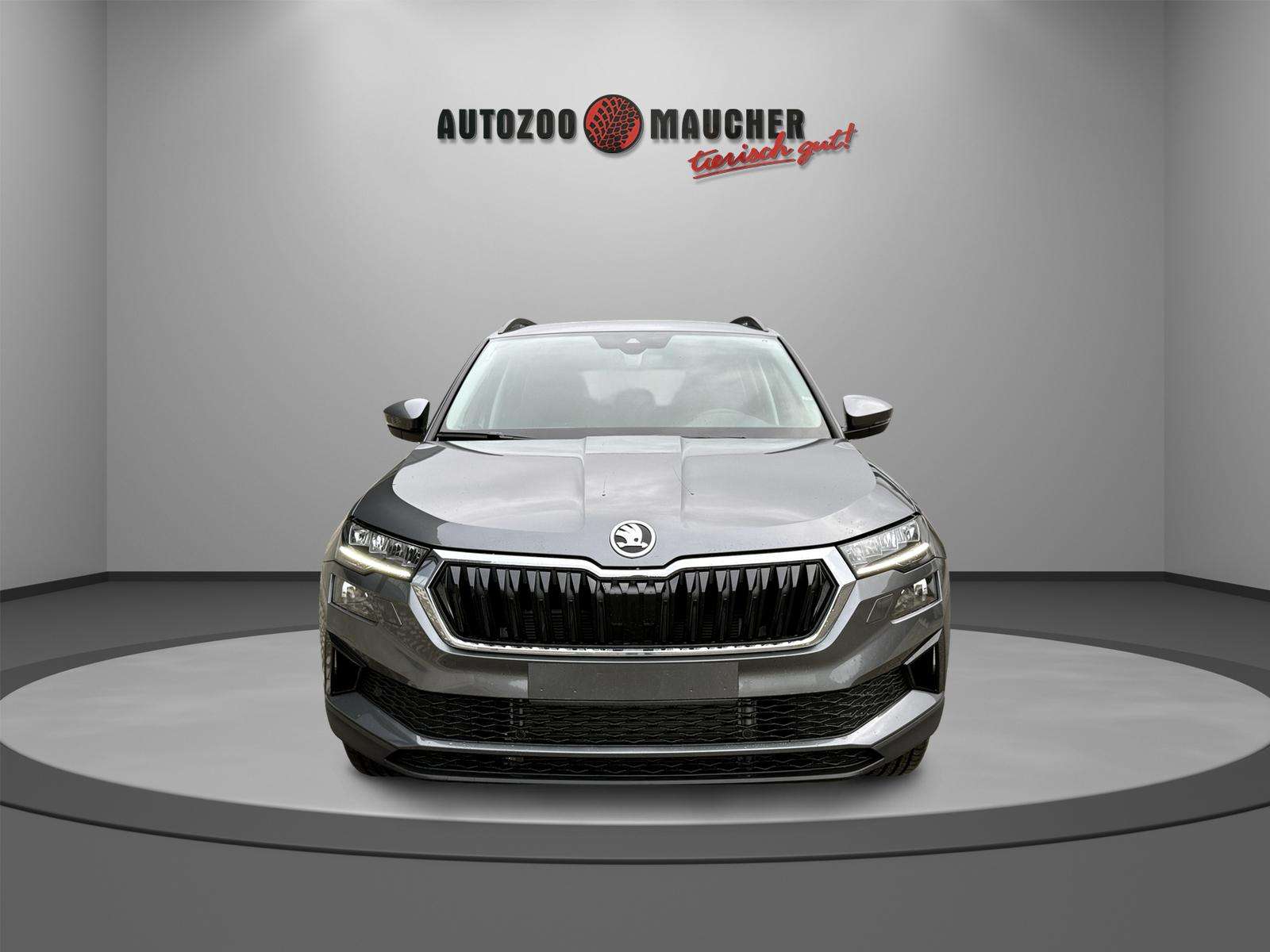 Fahrzeugbild eines Skoda Karoq