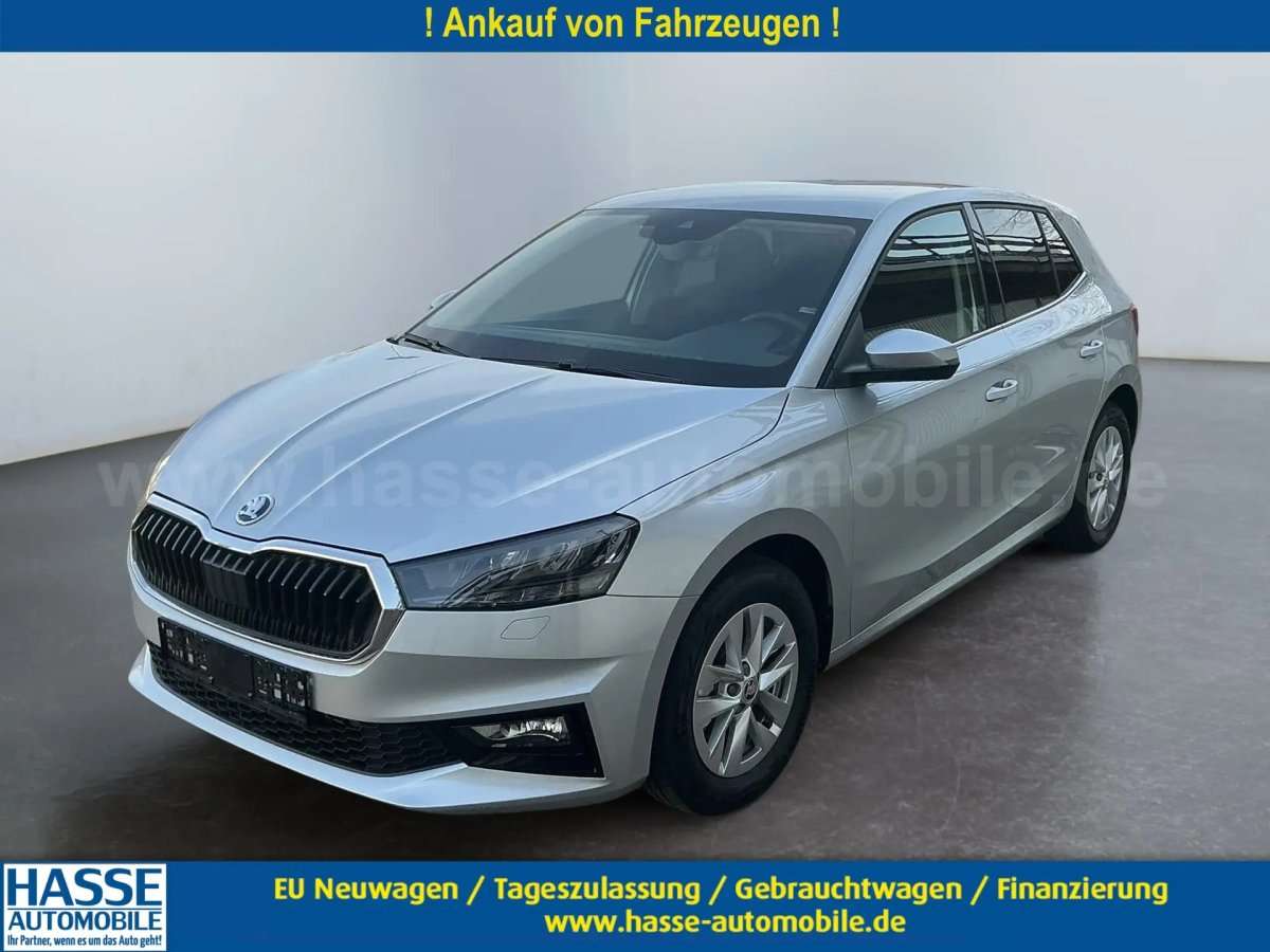 Fahrzeugbild eines Skoda Fabia
