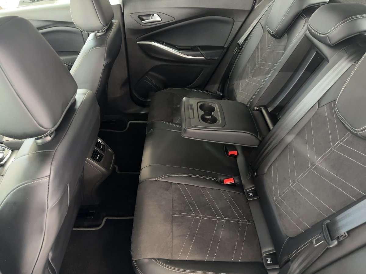 Fahrzeugbild eines Opel Grandland X