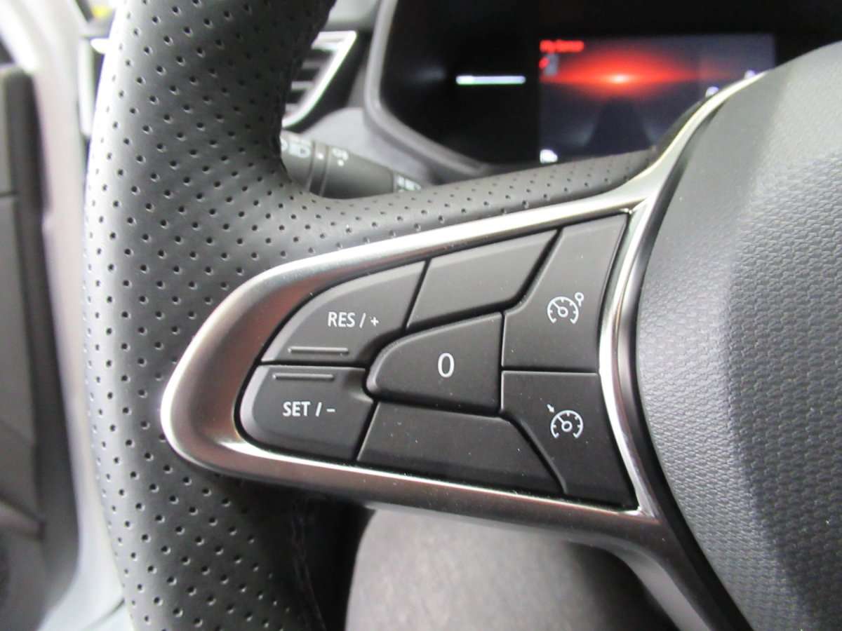 Fahrzeugbild eines Renault Clio