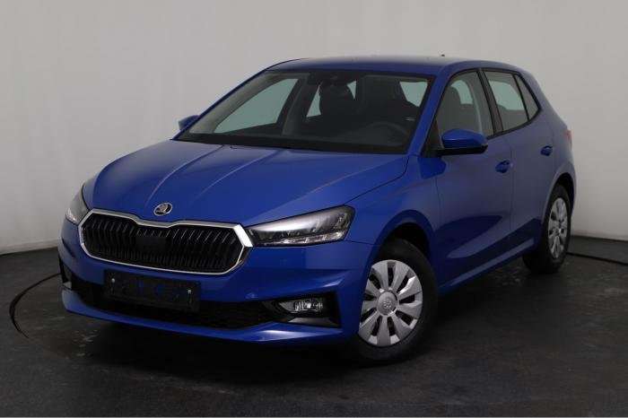 Fahrzeugbild eines Skoda Fabia