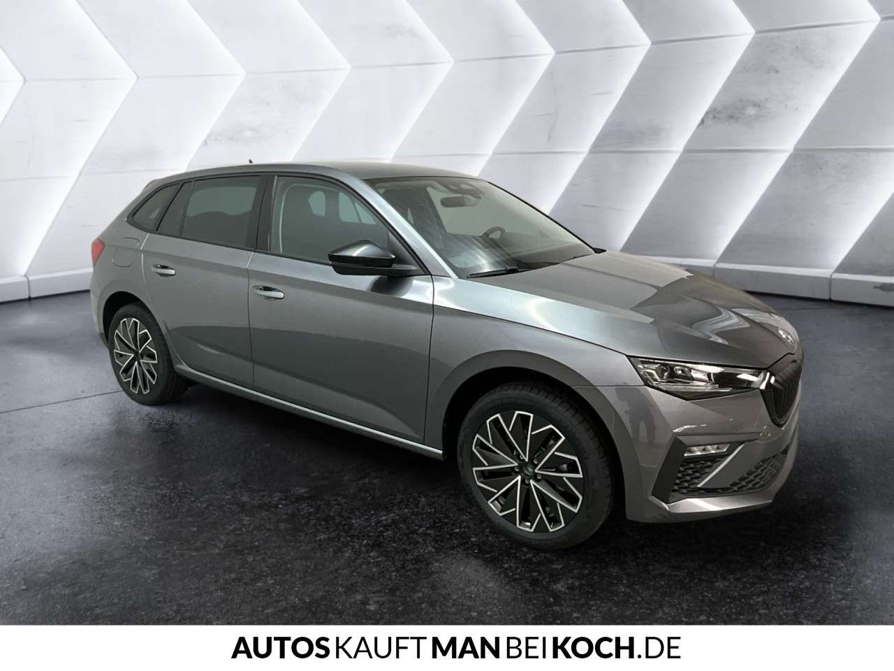 Fahrzeugbild eines Skoda Scala