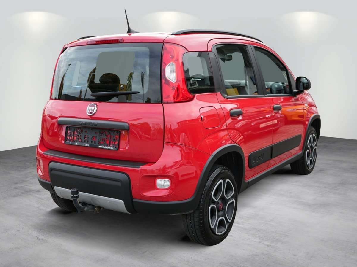 Fahrzeugbild eines Fiat Panda