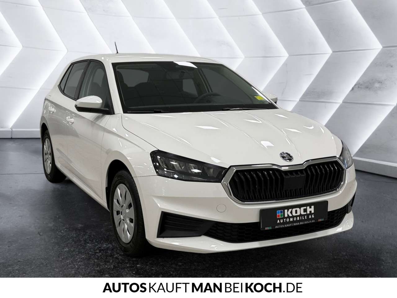Fahrzeugbild eines Skoda Fabia