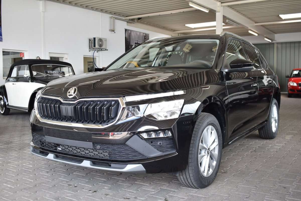 Fahrzeugbild eines Skoda Kamiq