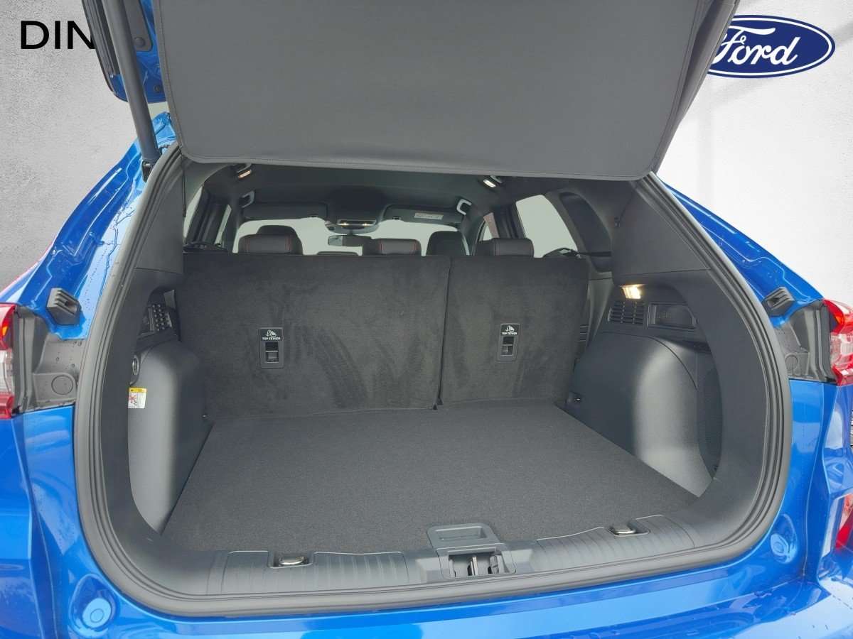 Fahrzeugbild eines Ford Kuga