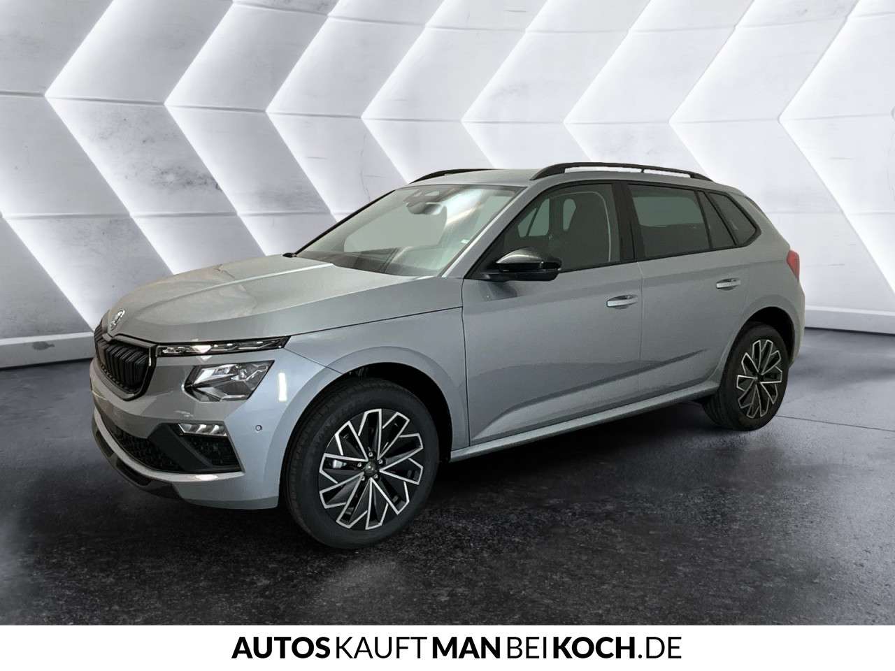 Fahrzeugbild eines Skoda Kamiq