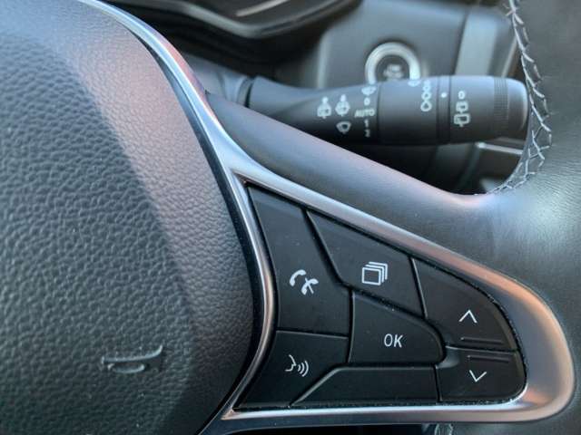 Fahrzeugbild eines Renault Clio