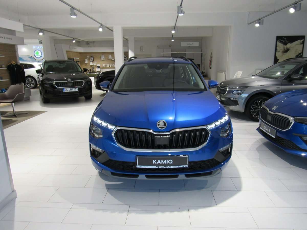 Fahrzeugbild eines Skoda Kamiq