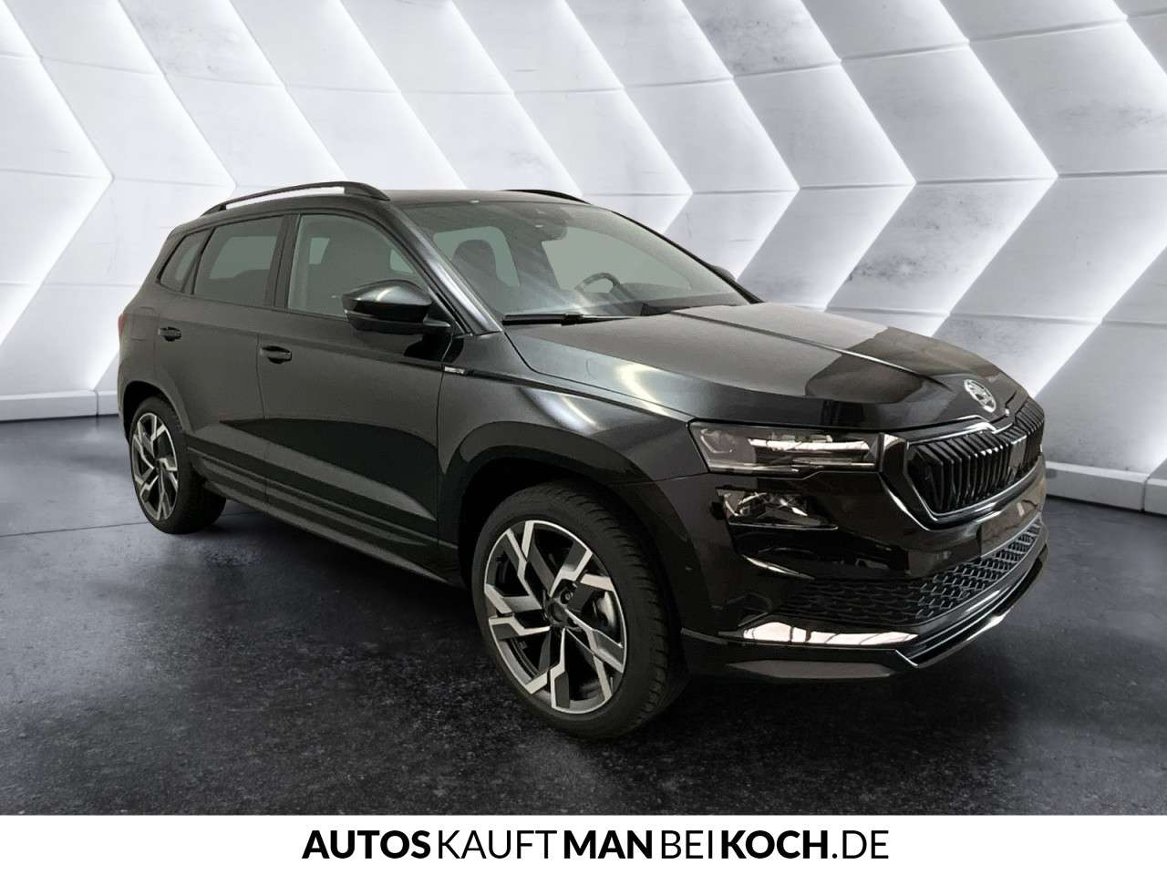 Fahrzeugbild eines Skoda Karoq