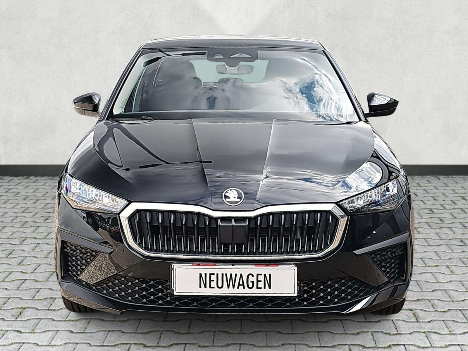 Fahrzeugbild eines Skoda Scala