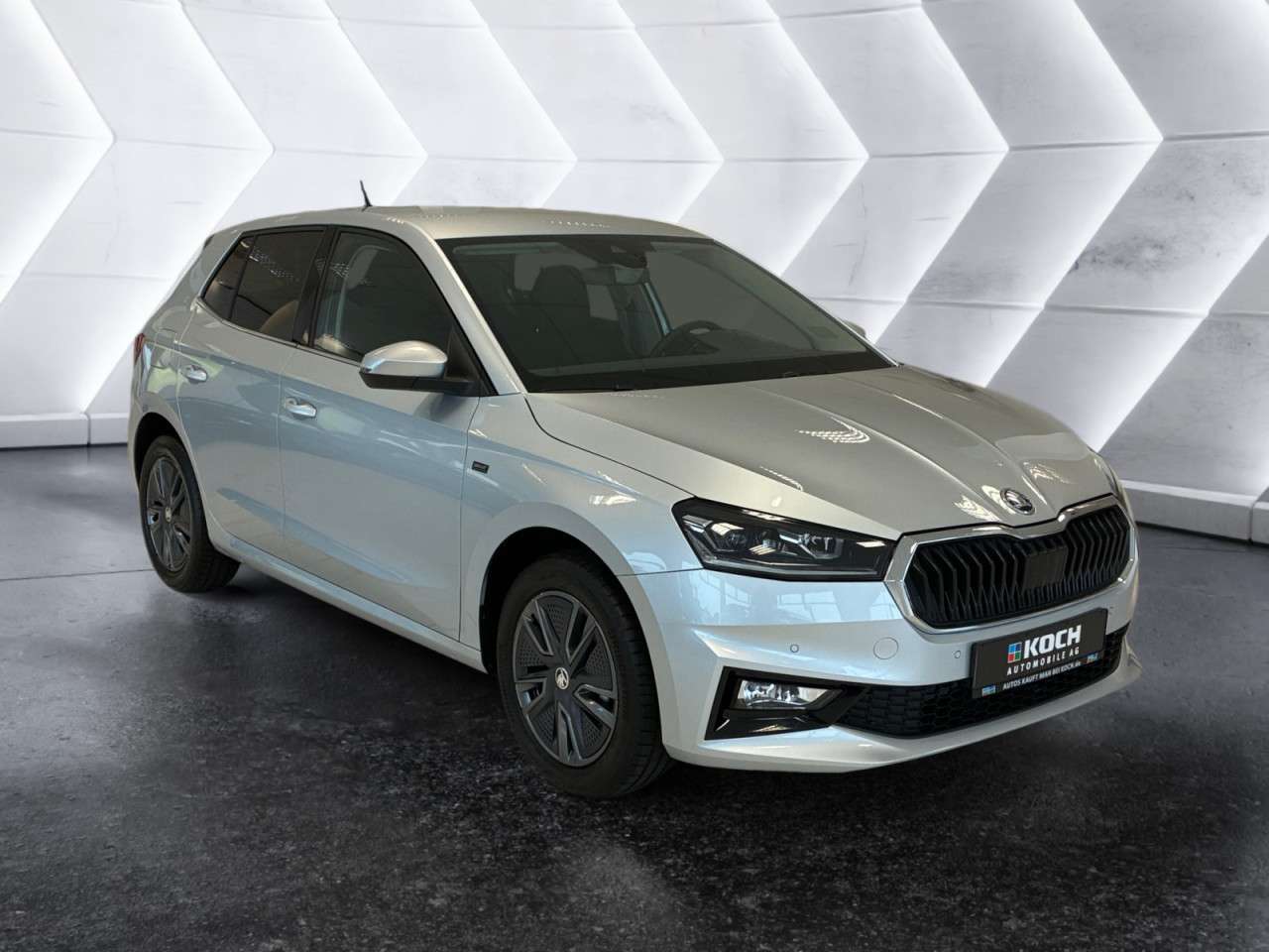 Fahrzeugbild eines Skoda Fabia