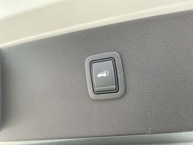 Fahrzeugbild eines Dacia Bigster