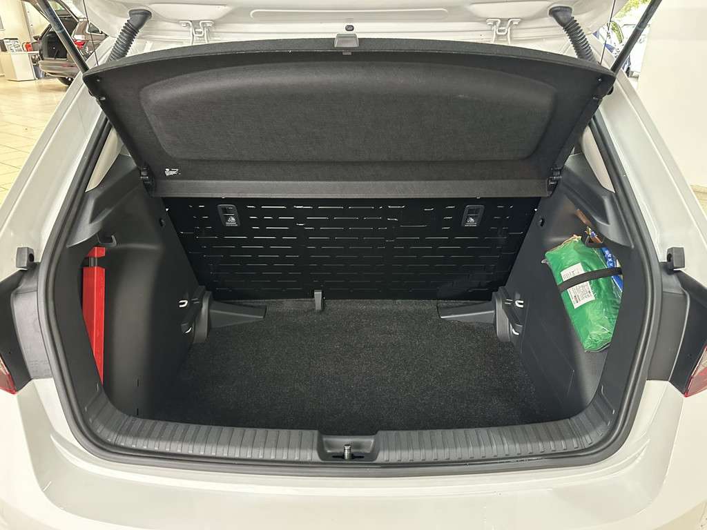 Fahrzeugbild eines Skoda Fabia