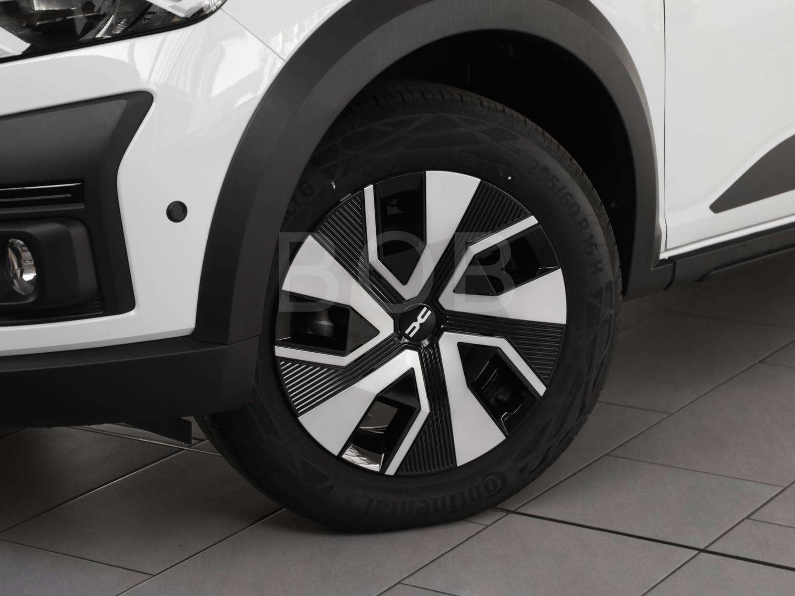 Fahrzeugbild eines Dacia Sandero