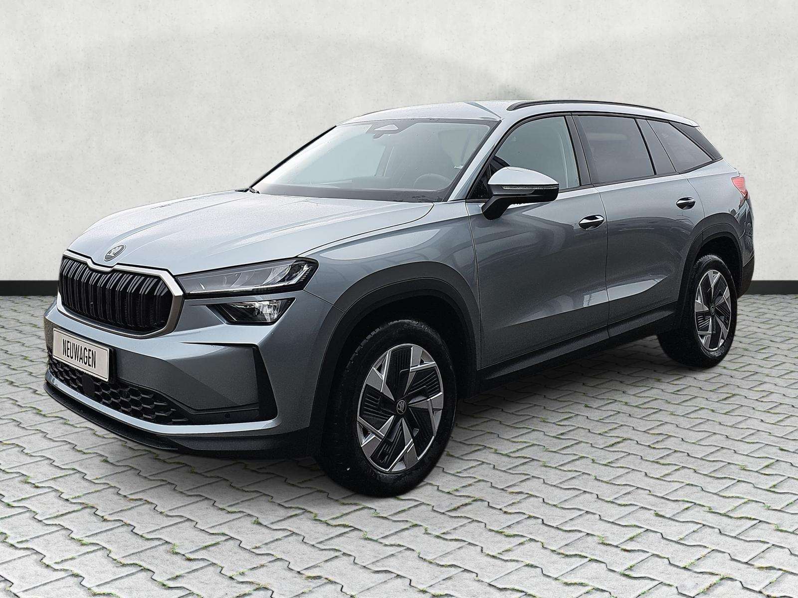 Fahrzeugbild eines Skoda Kodiaq