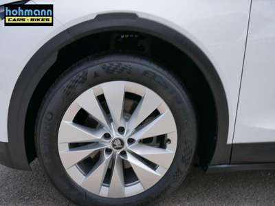 Bild Skoda ELROQ