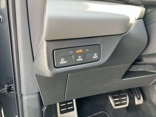 Fahrzeugbild eines CUPRA Terramar