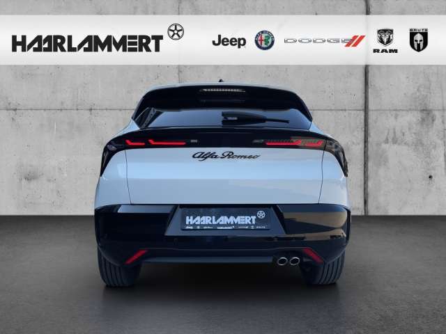 Fahrzeugbild eines Alfa Romeo Junior