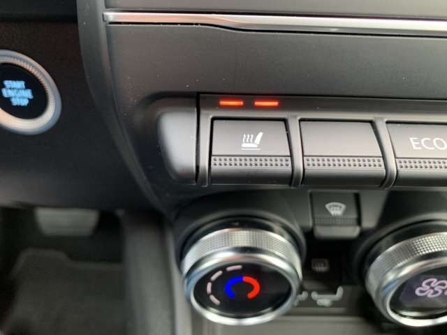 Fahrzeugbild eines Renault ZOE